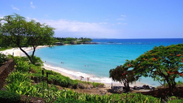 A beach with clear turquoise water, a sandy shore, and lush greenery. - Wai'ula'ula: You Can't Beat This View  (Waimea)