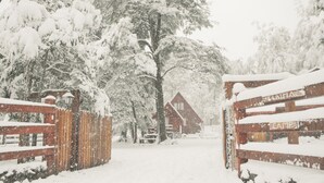 A snow-covered pathway leading to a cabin with a wooden fence on either side.