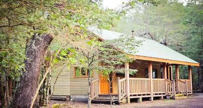 Llaima Camp
