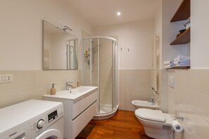 Shower, hair dryer, bidet, towels