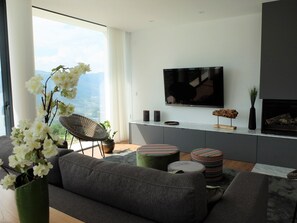 Télévision, cheminée, jeux vidéo