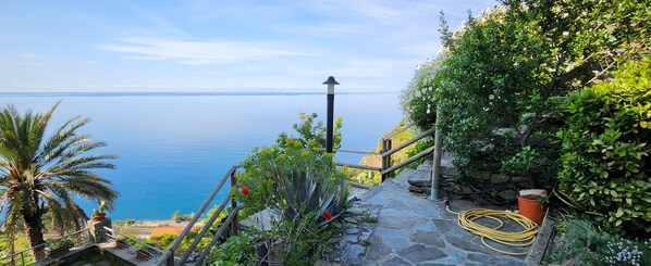 Una escalera de piedra con vista al mar, rodeada de abundante vegetación y una barandilla de metal.