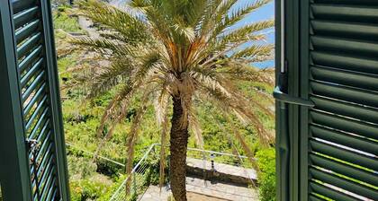 Lady Bugin pesä, upeat näkymät