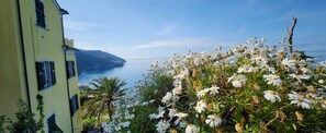 Un edificio costero con vista al mar y un jardín de flores blancas.