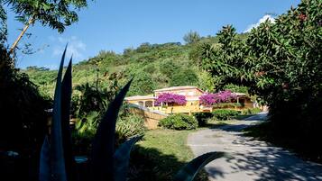 A hillside property with a yellow building, surrounded by lush greenery and purple flowers.