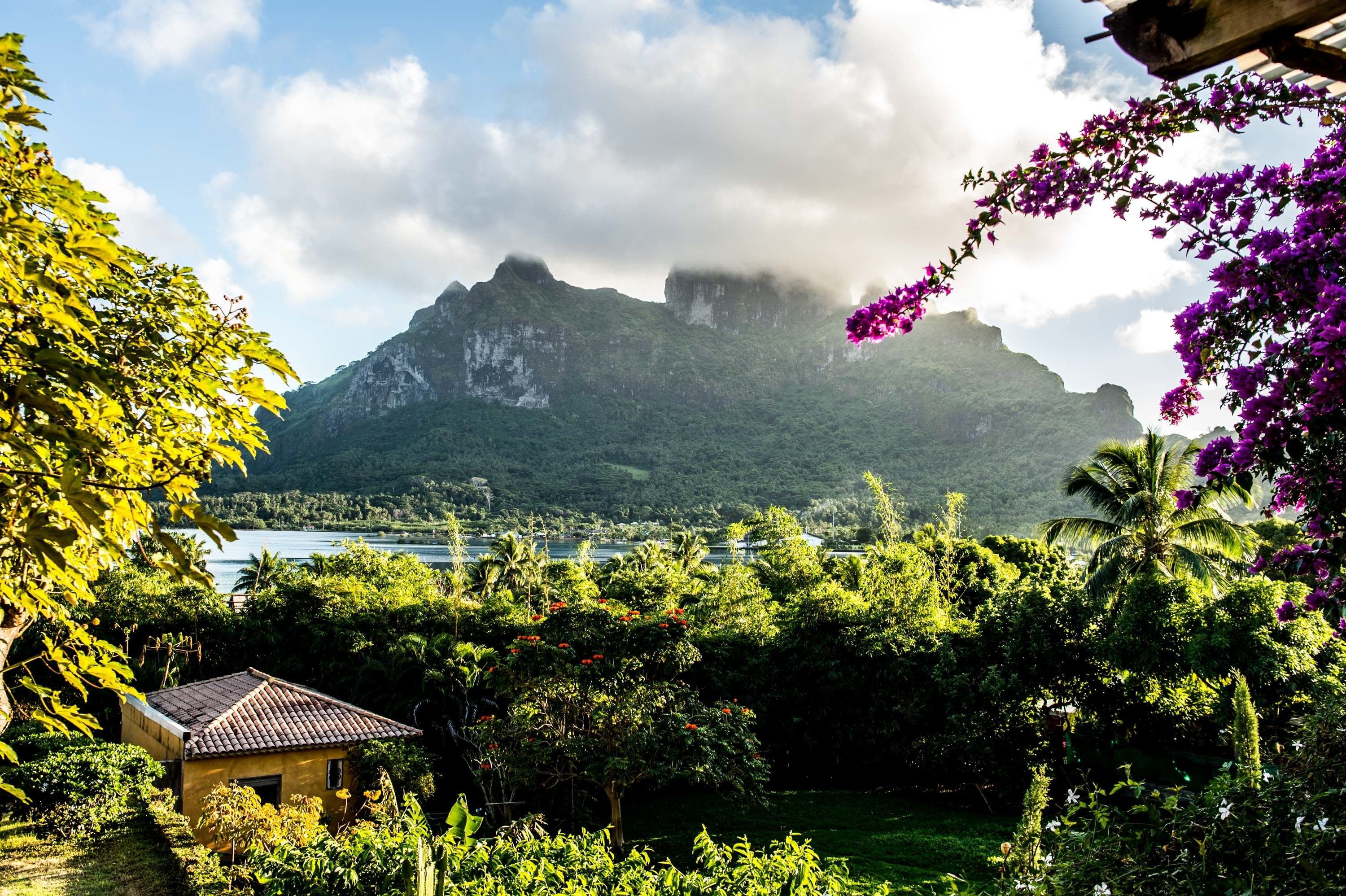 A tropical landscape with a mountain, lush greenery, and a small house with a tiled roof.