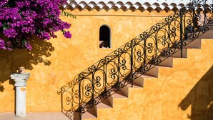 Una escalera con barandillas negras ornamentadas, un pilar blanco y un árbol en floración de color rosa.