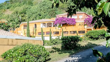 ๋น๋ผ | ์ธ๊ด