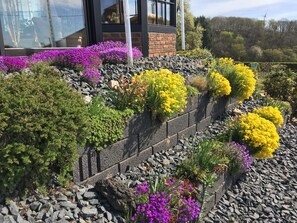 A rooftop garden with various plants and flowers, a brick wall, and a modern building in the background. - Nice, apartment, near Nürburgring, ideal for hiking / dream paths, free WiFi  (Luxem)