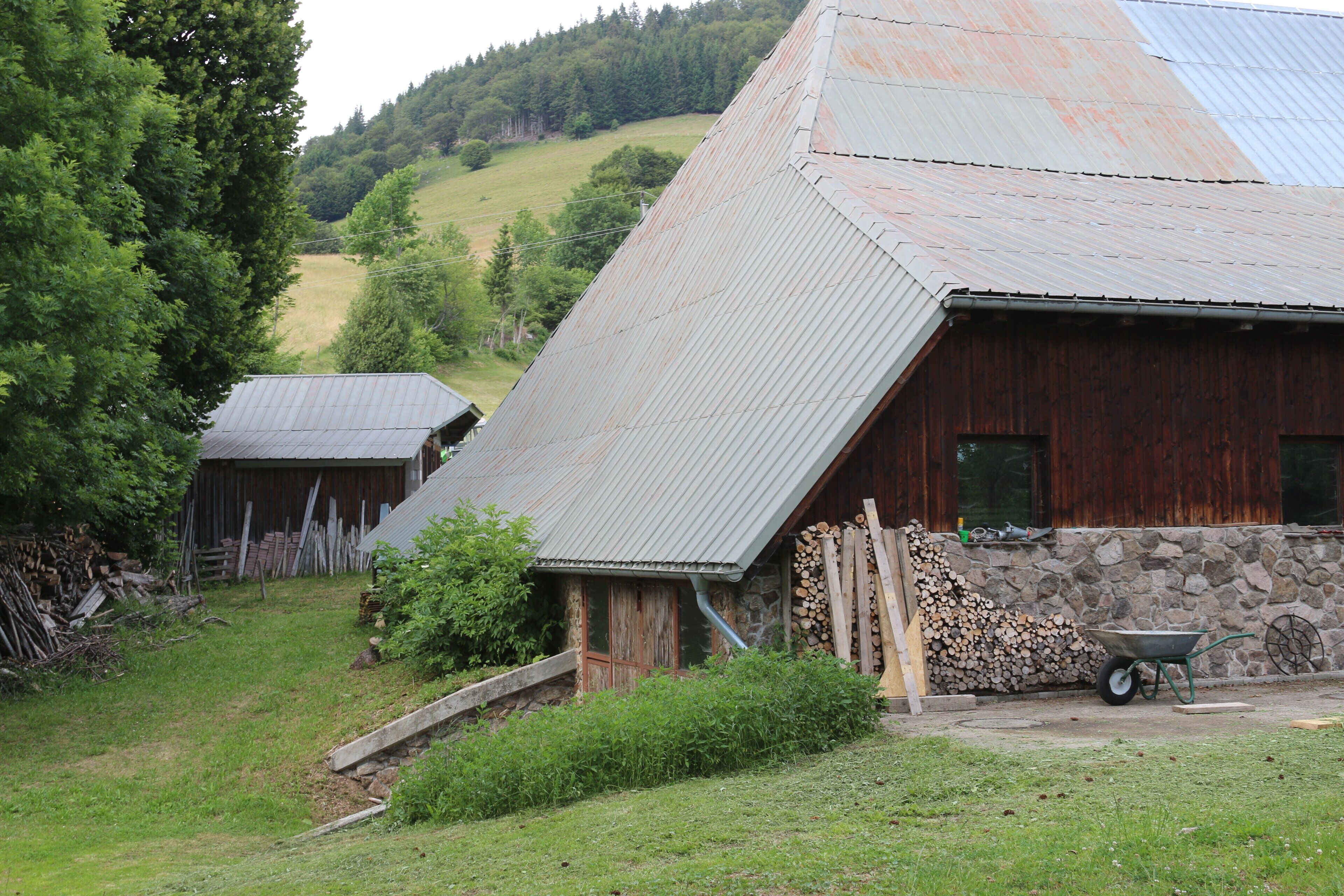 A rustic barn with a slanted roof, a wheelbarrow, and stacks of firewood.