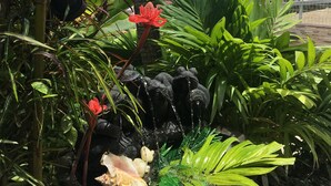 A tropical garden with a water feature, including a rock waterfall and a small pond with a shell. - Superb views - Private spa, pool and pool house. Romanticism and luxury -Trois Ilets.  (les Trois Ilets)