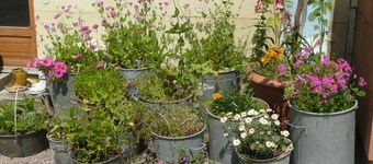 Vosges farmhouse, renovated with taste 5 *, great comfort / Pool / Sauna