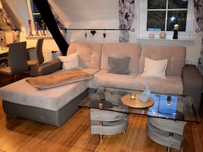 TV, fireplace, DVD player, books