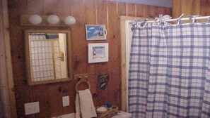 Combined shower/bathtub