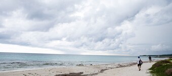 Experience Real Jamaica! Large House, Full Kitchen, Quiet Beach, Local Vendors! 