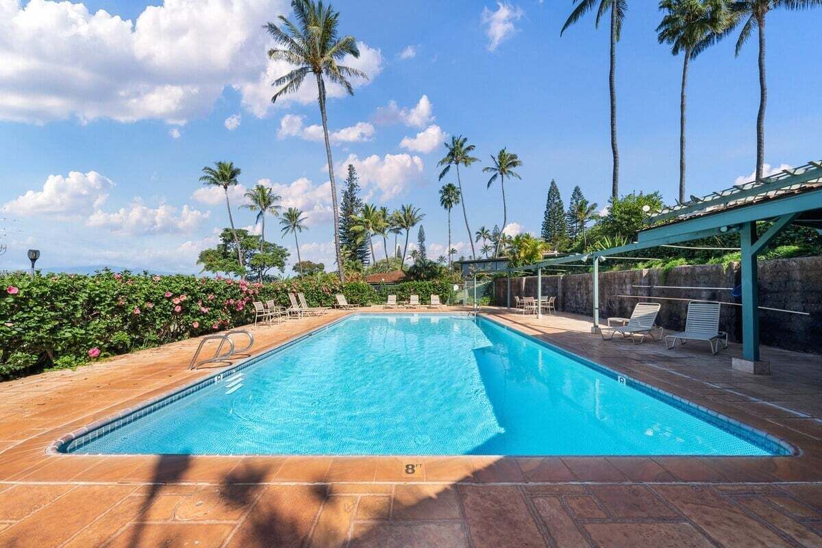 Ein rechteckiger Swimmingpool mit klarem, blauem Wasser, umgeben von Liegestühlen und Palmen.