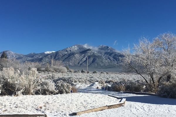 Snowy Morning