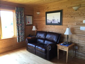 Smart TV, fireplace, DVD player, books