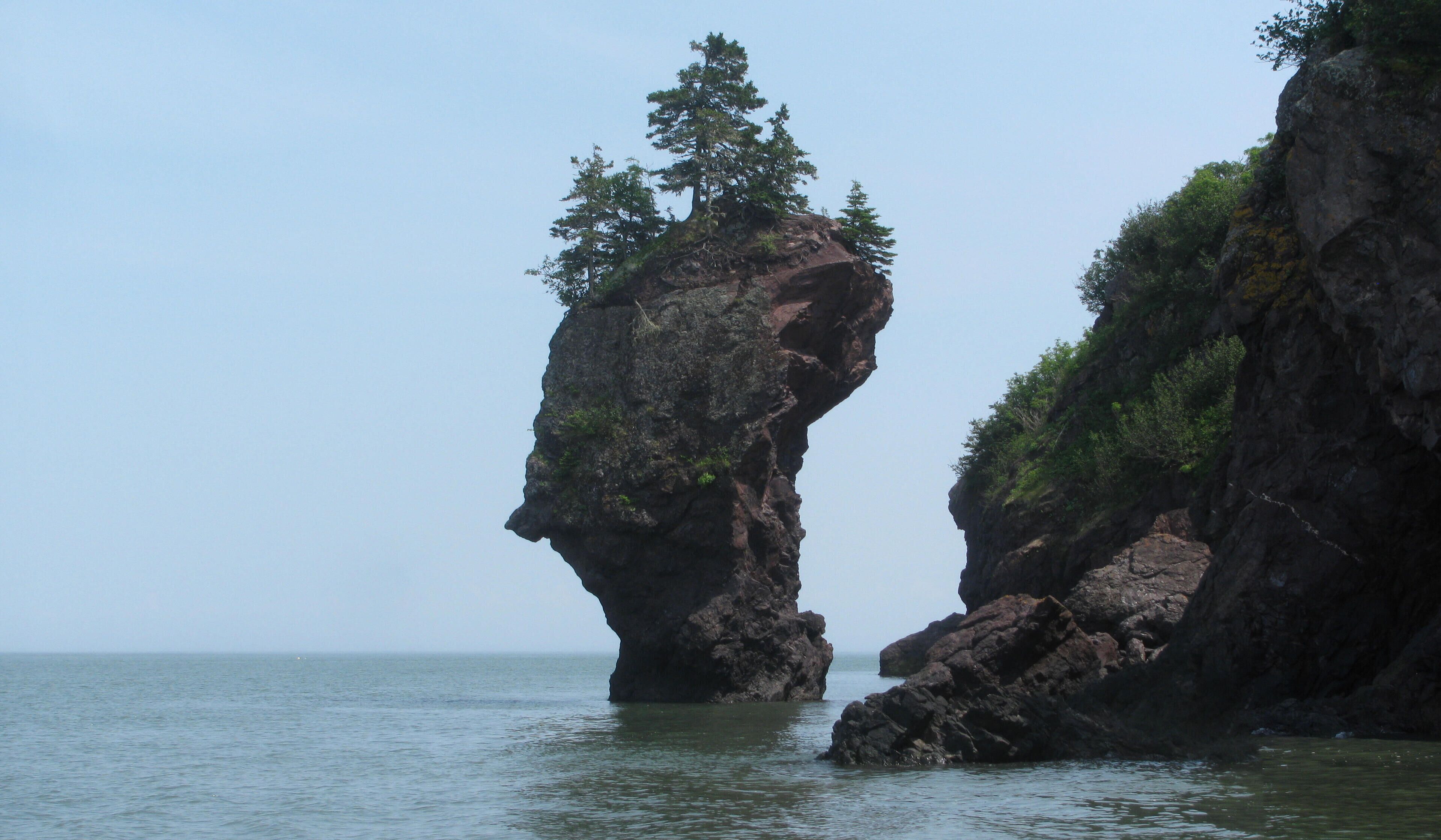 Une formation rocheuse côtière surmontée d’un arbre, entourée d’eau.