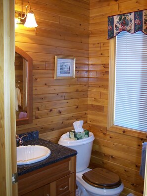 Combined shower/tub, jetted tub, hair dryer, towels