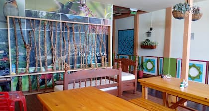 Hostal Don Jose - Hostel