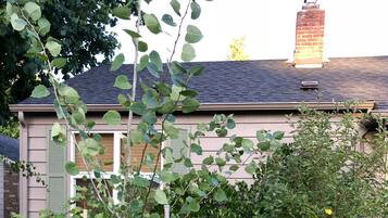 A garden with purple flowers and a house in the background.