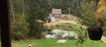 Cozy apartment on a private horse farm near the beaches and forest conservation