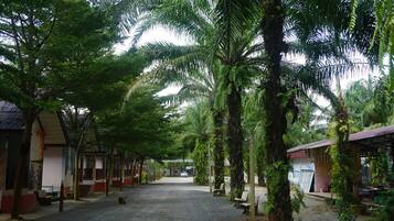 A covered outdoor area with benches and a pathway lined with palm trees.