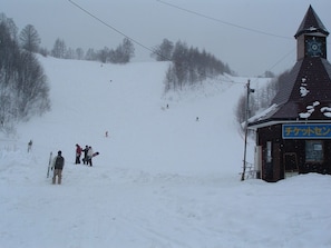 Snow and ski sports - Onsen Inn 36So (Matsumoto)