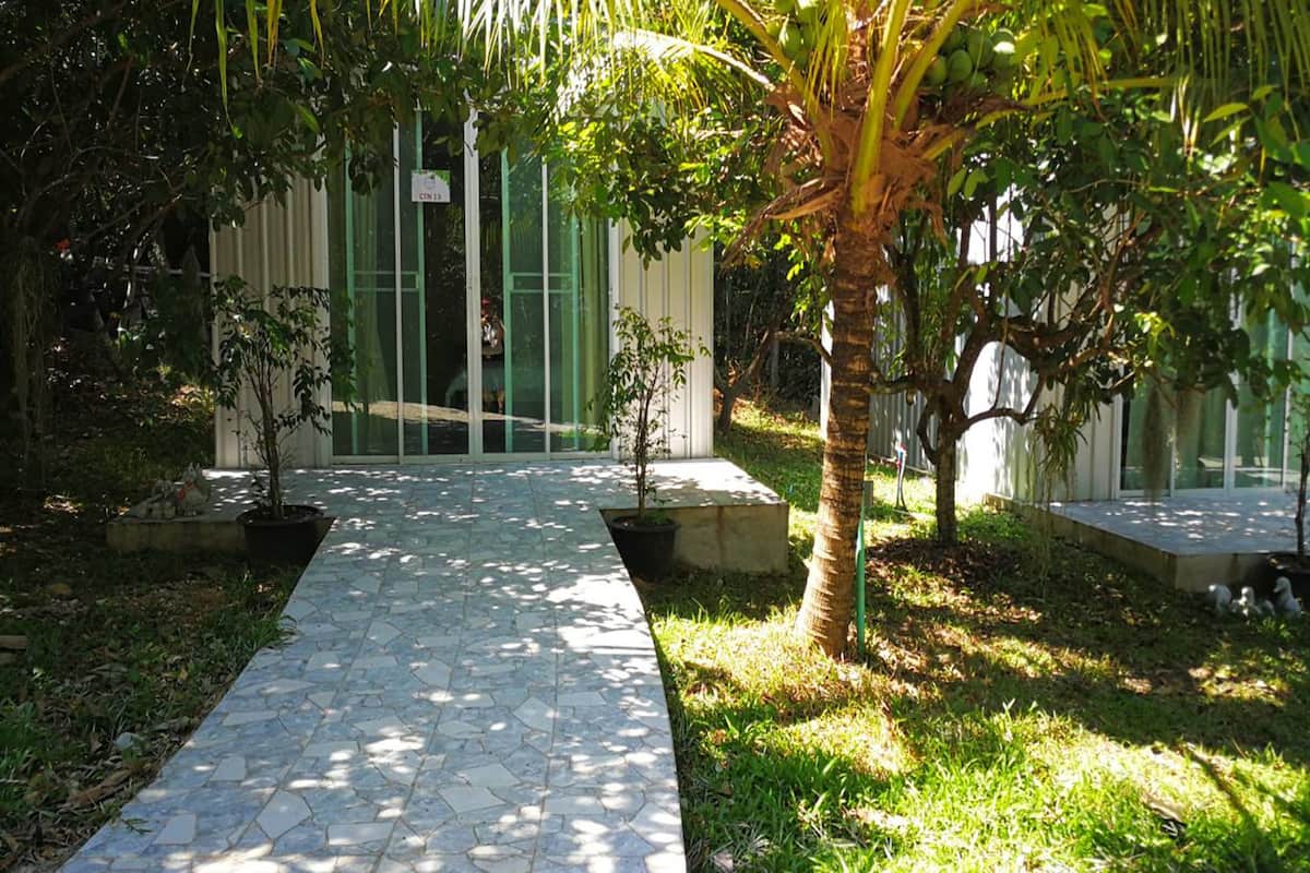 Uma passagem pavimentada que leva a um edifício com porta verde, rodeado por vasos de plantas e uma palmeira.