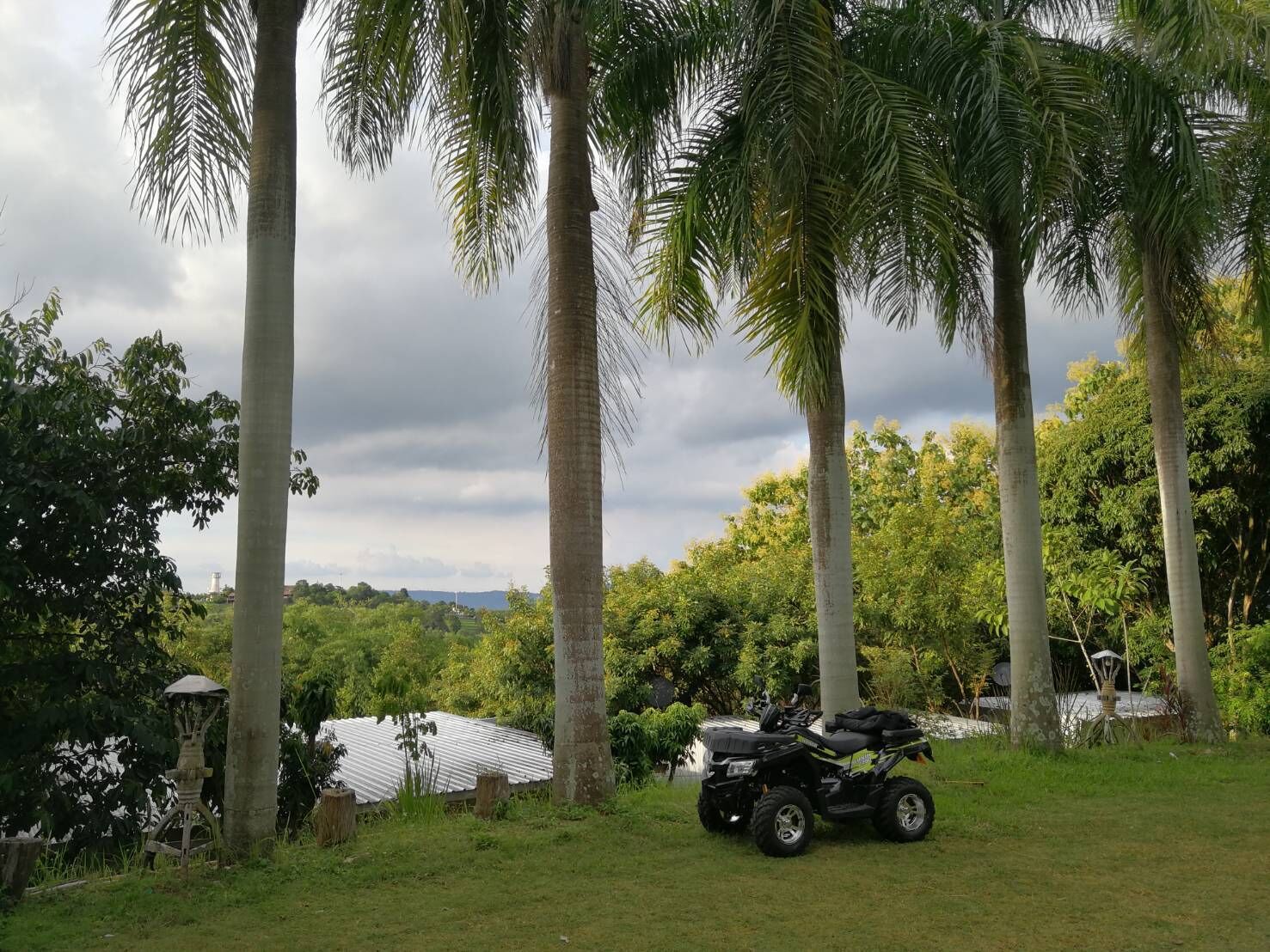 A quad bike parked in a grassy area with palm trees and a house in the background.