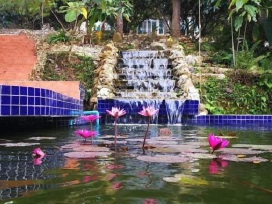 Standaard Twin kamer | Gratis wifi, beddengoed