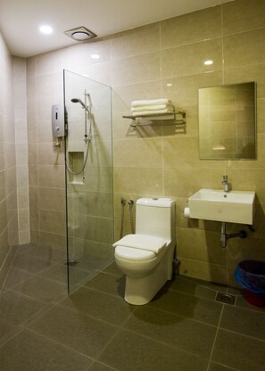 Shower, free toiletries, towels