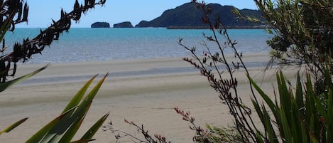 靠近海滩、沙滩毛巾