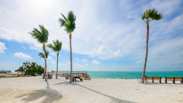 A beach with palm trees, benches, and a bicycle. - WATERFRONT Key Colony Beach Retreat 37’ Dock Cabana Club- Kayak & Bikes- Parking (Marathon)
