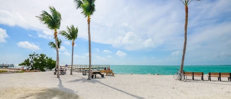 Sun-loungers, beach towels