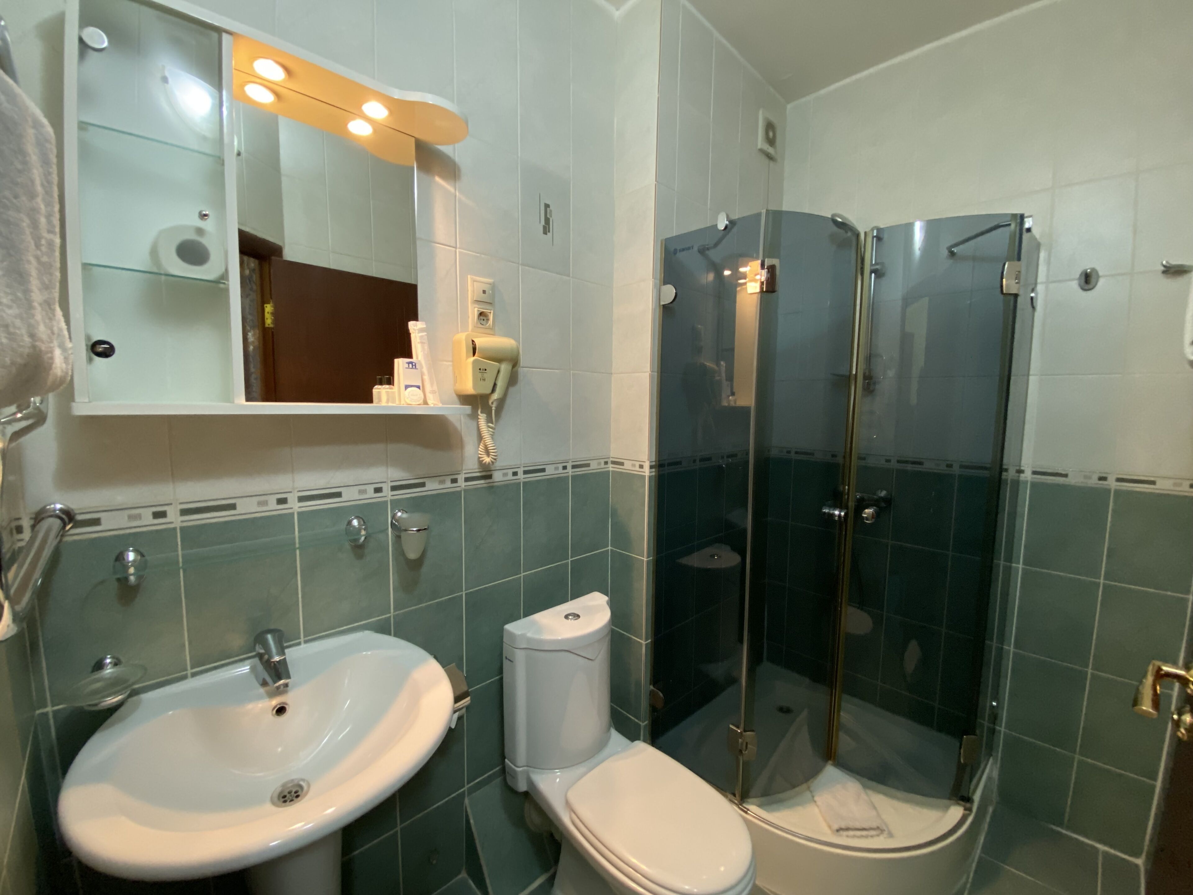 Une salle de bain équipée d’un lavabo, de toilettes et d’une douche à parois de verre.
