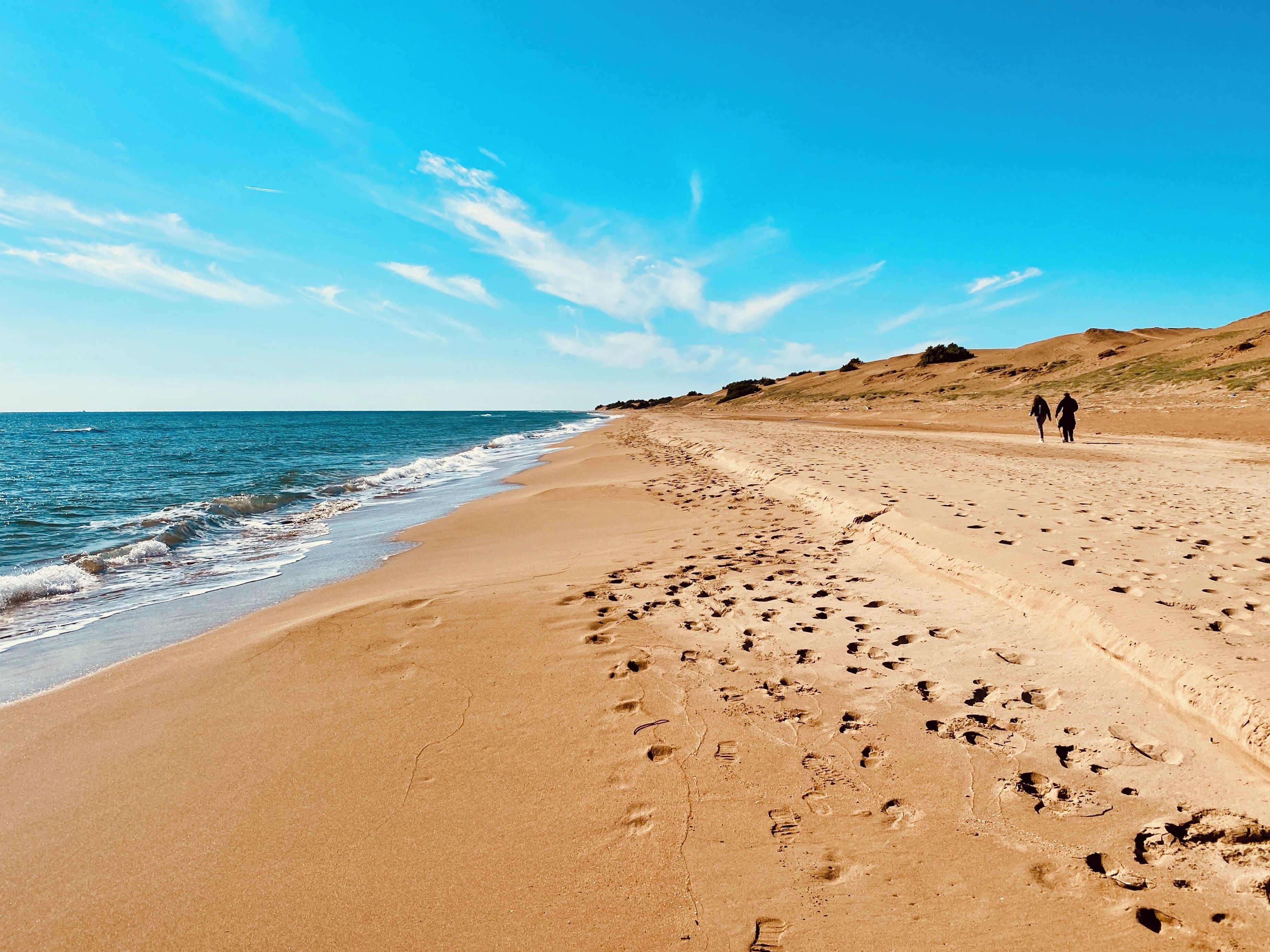 Gần bãi biển, lướt ván buồm 