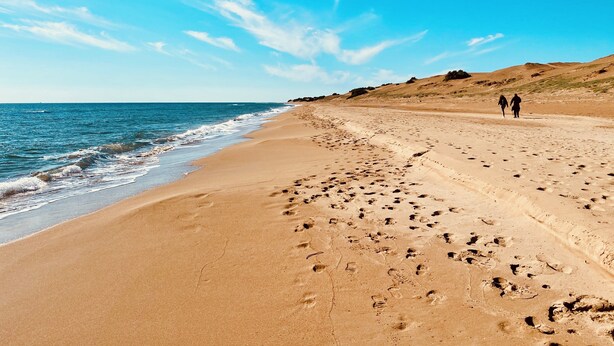 Une vaste plage de sable fin, parsemée d’empreintes qui mènent vers l’eau, sous un ciel bleu et dégagé.