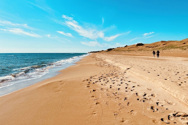 Beach nearby, windsurfing