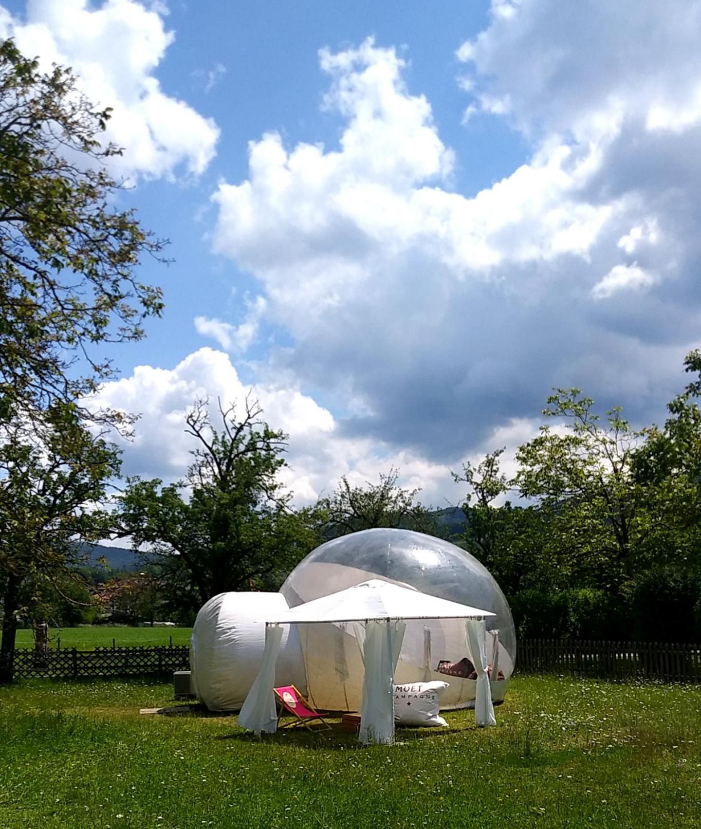 Zwei transparente, kugelförmige Strukturen mit weißem Inneren, umgeben von einer grünen Wiese und Bäumen, unter einem teils bewölkten Himmel.