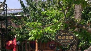 Um pátio tradicional chinês com uma placa, mobiliário de madeira e vegetação exuberante.