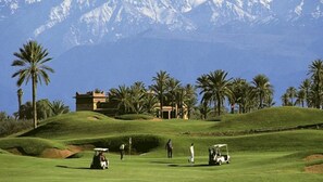 高尔夫球场景观