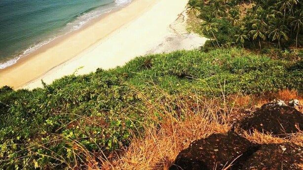 A beach with a clear view of the ocean, a sandy shore, and dense vegetation on the right.
