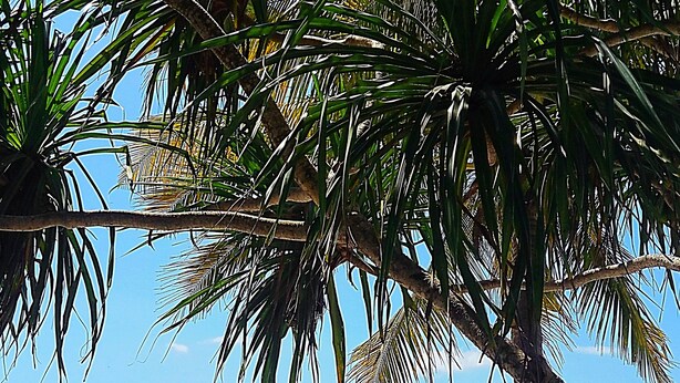 Exterior - Ocean Dream Beach Villa (Dar es Salaam)