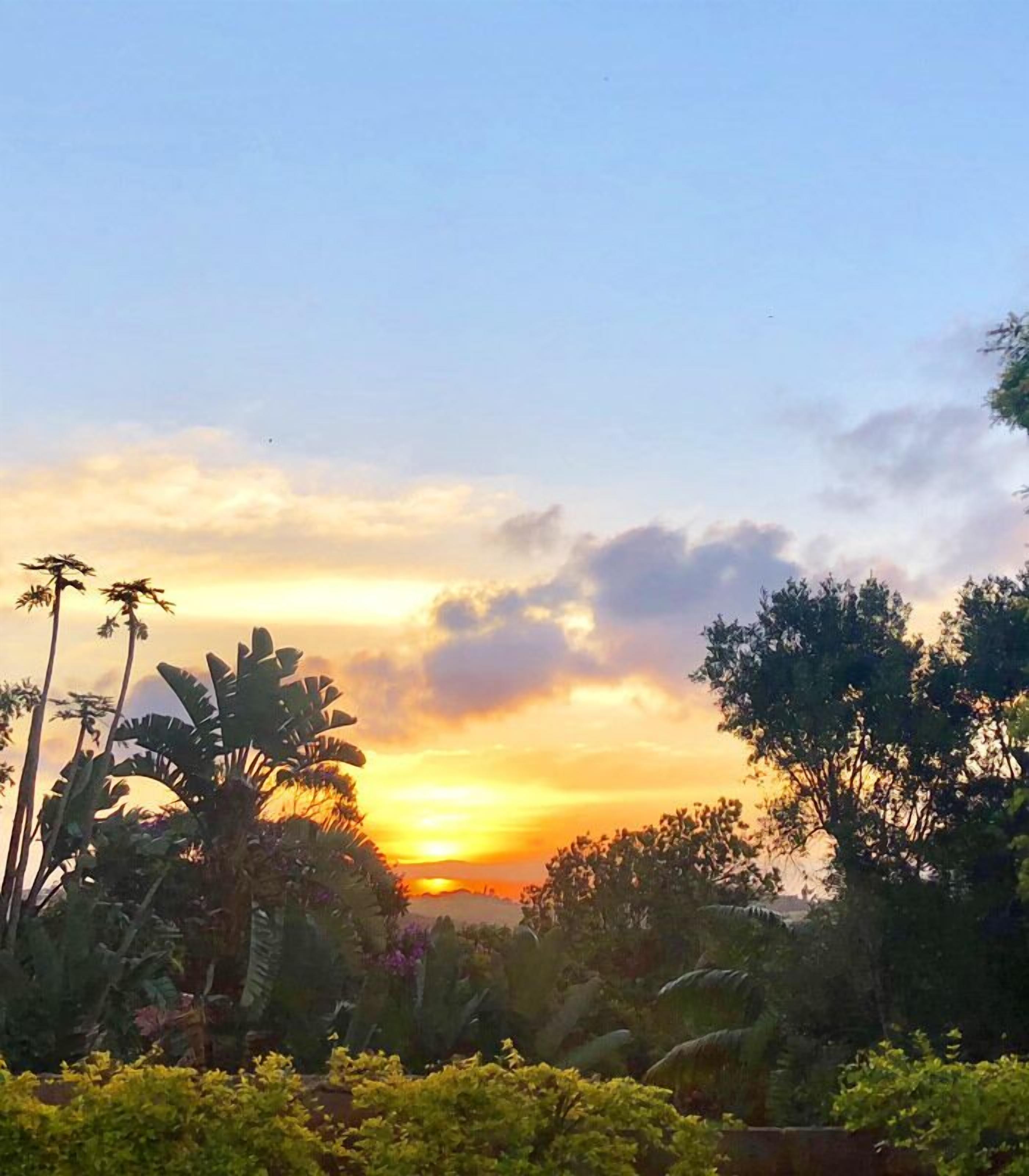 A sunset over a lush landscape with dense foliage and a clear sky.