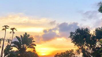 A sunset over a lush landscape with dense foliage and a clear sky.