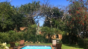 Une piscine rectangulaire à l’eau d’un bleu limpide, entourée d’une pelouse bien entretenue et de divers arbres et arbustes.
