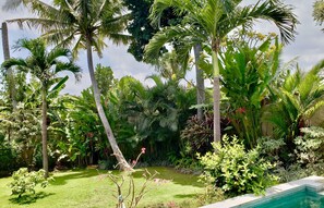 Property grounds - Villa Wildflower Canggu (Canggu)