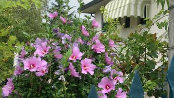 DĂ©tail de lâextĂ©rieur